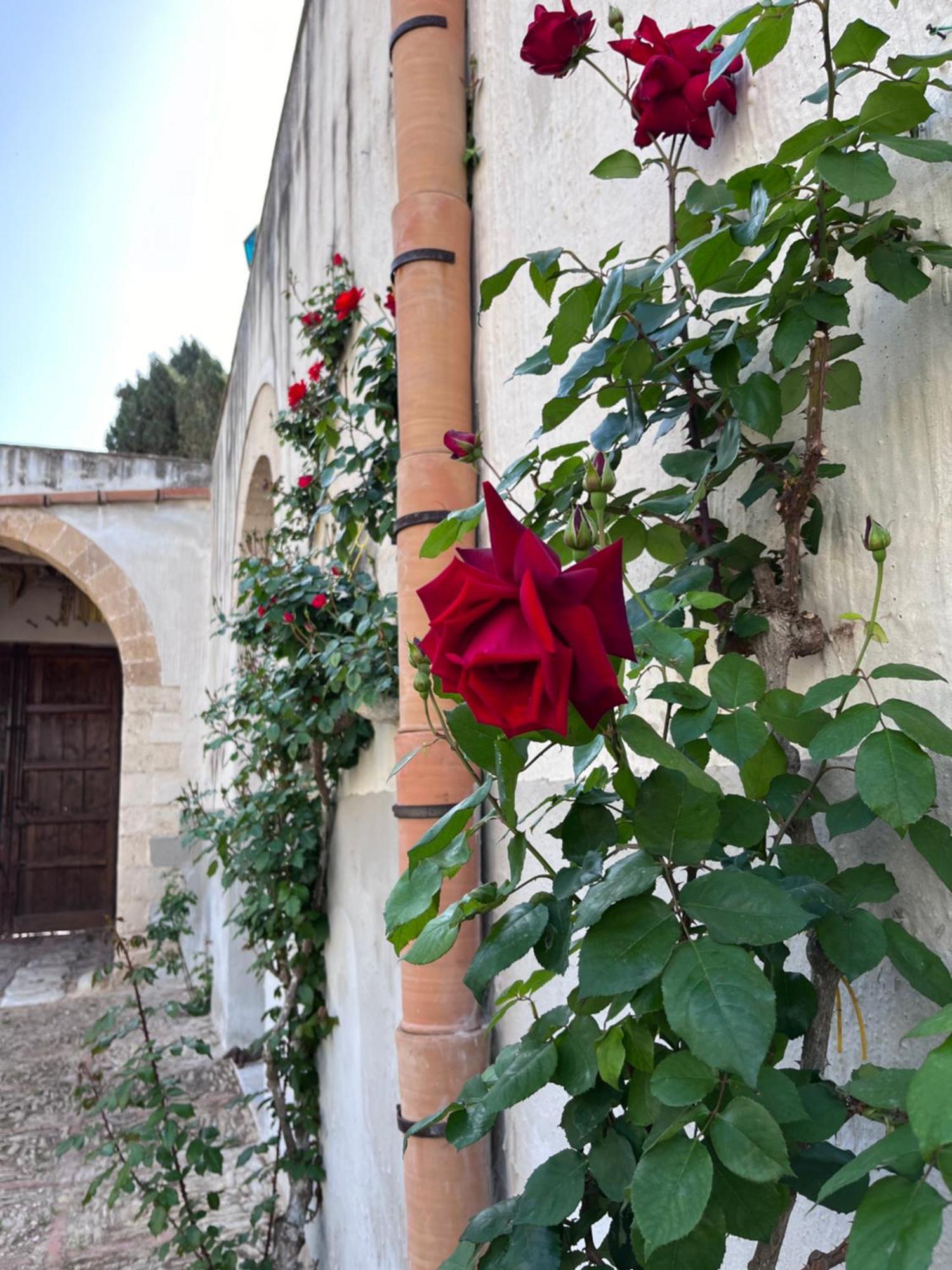 Villa Baglio Fontanasalsa Paceco Exterior foto